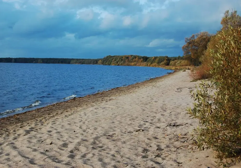 Jezioro Wielimie: piękne miejsce na wypoczynek i rekreację w naturze