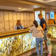 Co oznaczają gwiazdki w hotelu? Zrozum jakość i standardy usług
