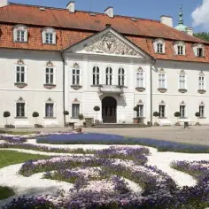 Najlepsze atrakcje dla dzieci w Nieborowie, które musisz odwiedzić